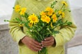 Young boy, kid child hands with yellow wild flowers Royalty Free Stock Photo