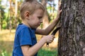 A young boy with a knife in the forest cuts a tree. Dangerous game, outdoor recreation