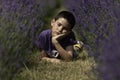 Young boy laying in a field of lavender, daydreaming Royalty Free Stock Photo