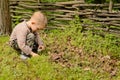 Young boy lighting a fire outdoors Royalty Free Stock Photo