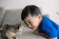 A young boy is looking at a cat on a couch