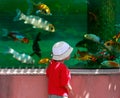 Young boy looking at fishes