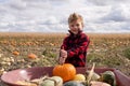 Young boy looking at horizon in a pumpkin field readu for harvest Royalty Free Stock Photo