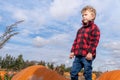 Young boy looking at horizon in a pumpkin field readu for harvest Royalty Free Stock Photo