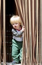 Young boy looking out from behind curtain Royalty Free Stock Photo