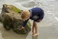 Young boy looking at rocks in tidepools Royalty Free Stock Photo