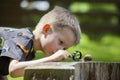 Young boy looking at snail Royalty Free Stock Photo