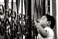 Young boy looks through the gaps of a metal gate in front my a Hindu Temple