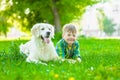 Young boy lying with golden retriever dog on green grass Royalty Free Stock Photo