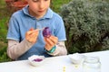 A young boy painting Easter eggs outdoor in France. Easter children creative activity Royalty Free Stock Photo