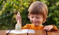 Young boy painting the wooden fence in summer garden Royalty Free Stock Photo