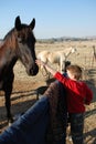 Young Boy Patting Pet Horses Royalty Free Stock Photo