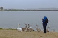 A young boy photographs nature in the Park and swans near the water