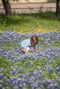 Young Boy Picking Blue Bonnet Flowers in Texas Royalty Free Stock Photo