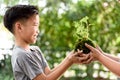 Young boy play with soil and seedling Royalty Free Stock Photo