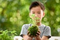 Young boy play with soil and seedling Royalty Free Stock Photo
