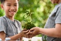 Young boy play with soil and seedling Royalty Free Stock Photo