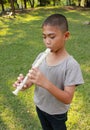 Young boy playing flute in park Royalty Free Stock Photo