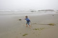 Young Boy Playing with Kelp on the Beach in the Fog Royalty Free Stock Photo