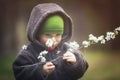 Young boy playing outdoor with cherry flowers at spring day Royalty Free Stock Photo