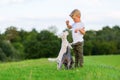 Young boy plays with two small dogs Royalty Free Stock Photo