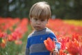 Young boy pouting in a tulip field, looking at the camera Royalty Free Stock Photo