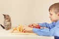 Young boy with pretty kitten plays chess.