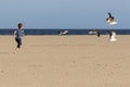 Young boy with red hair chasing birds Royalty Free Stock Photo