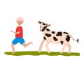 Young boy in red shirt and blue shorts playing with a spotty calf on green grass. Child enjoying time with farm animal Royalty Free Stock Photo