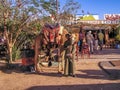 Young boy renting camels to tourist