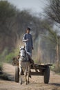 Young boy riding on donkey cart sialkot punjab pakistan on march10 2023