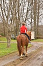 Young Boy Riding a Horse Royalty Free Stock Photo