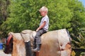 Young Boy Riding Mechanical Bull Royalty Free Stock Photo