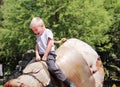 Young Boy Riding Mechanical Bull Royalty Free Stock Photo