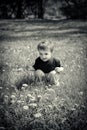 Young Boy Sits Outside Holding a Dandelion Flower - Black and Wh Royalty Free Stock Photo