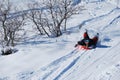 Young boy sledding Royalty Free Stock Photo