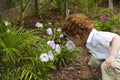 Young boy smelling flowers Royalty Free Stock Photo