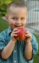 Young boy snacking on a juicy