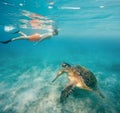 Young boy Snorkel swim with green sea turtle, Egypt Royalty Free Stock Photo