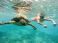 Young boy Snorkel swim with green sea turtle, Egypt Royalty Free Stock Photo