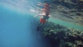 Young boy snorkel swim in shallow water with coral fish
