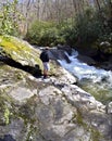 Young Hiker at the River