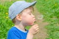 Boy outdoors blowing dandelion close-up Royalty Free Stock Photo