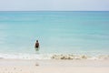 A young boy stands at the ocean shore