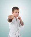 Young boy training karate. Royalty Free Stock Photo