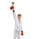 Young boy training karate. Royalty Free Stock Photo