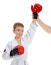 Young boy training karate. Royalty Free Stock Photo