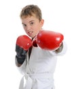 Young boy training karate. Royalty Free Stock Photo