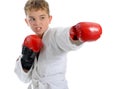 Young boy training karate. Royalty Free Stock Photo