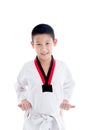 Young boy training taekwondo action isolated Royalty Free Stock Photo